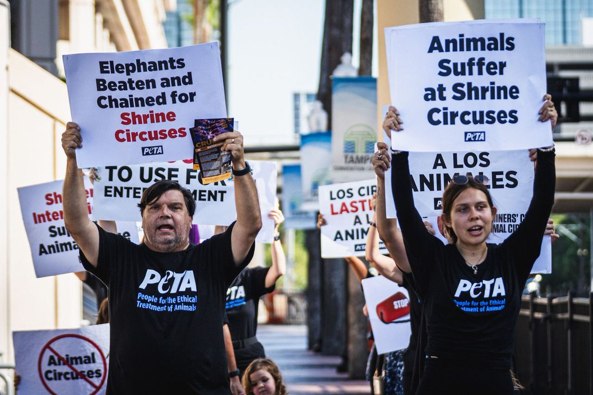 PETA tweet media