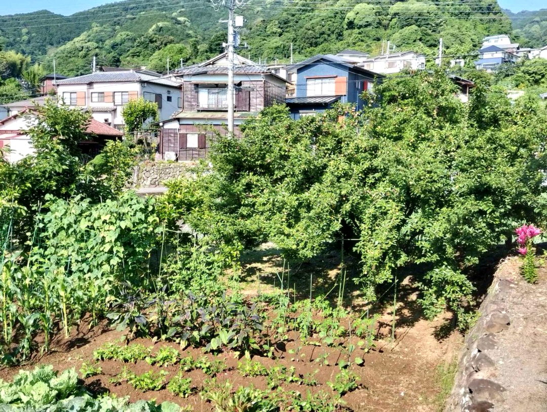 OkurFelat's tweet photo. 少し長いお話ですが、この資料館にある「八甲田山雪中行軍遭難事件」のお話を。
1902（明治35）年に発生した遭難事故で、参加した兵士210名中199名が遭難死した、近代山岳登山史上、世界最悪の事故です。 https://t.co/MVIgrStuaH