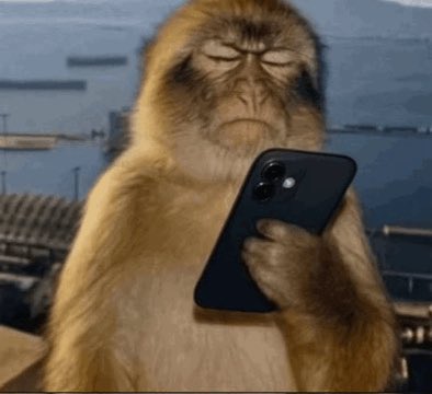 NotLite tweet media