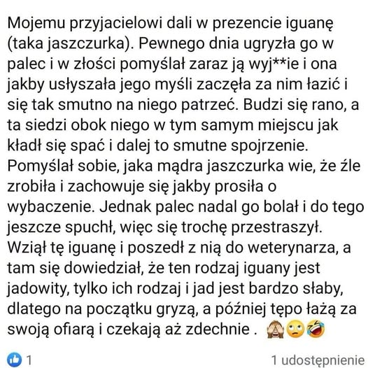 Aleksandra🇵🇱🇪🇺 tweet media