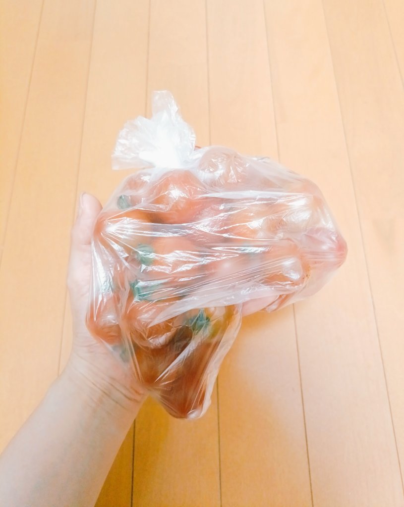 8SummerGinger's tweet photo. そんな事言ってた矢先におっちゃまが大量のプチトマトくれた。やった〜❕️🍅 https://t.co/FQGkKPHWor