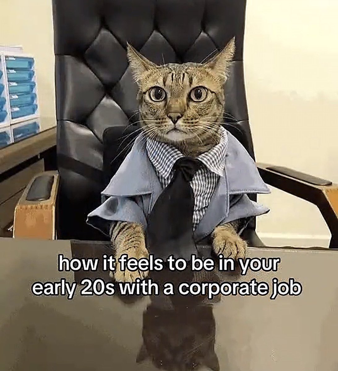 literallymecats's tweet photo. https://t.co/IkfWnJ1Vvg