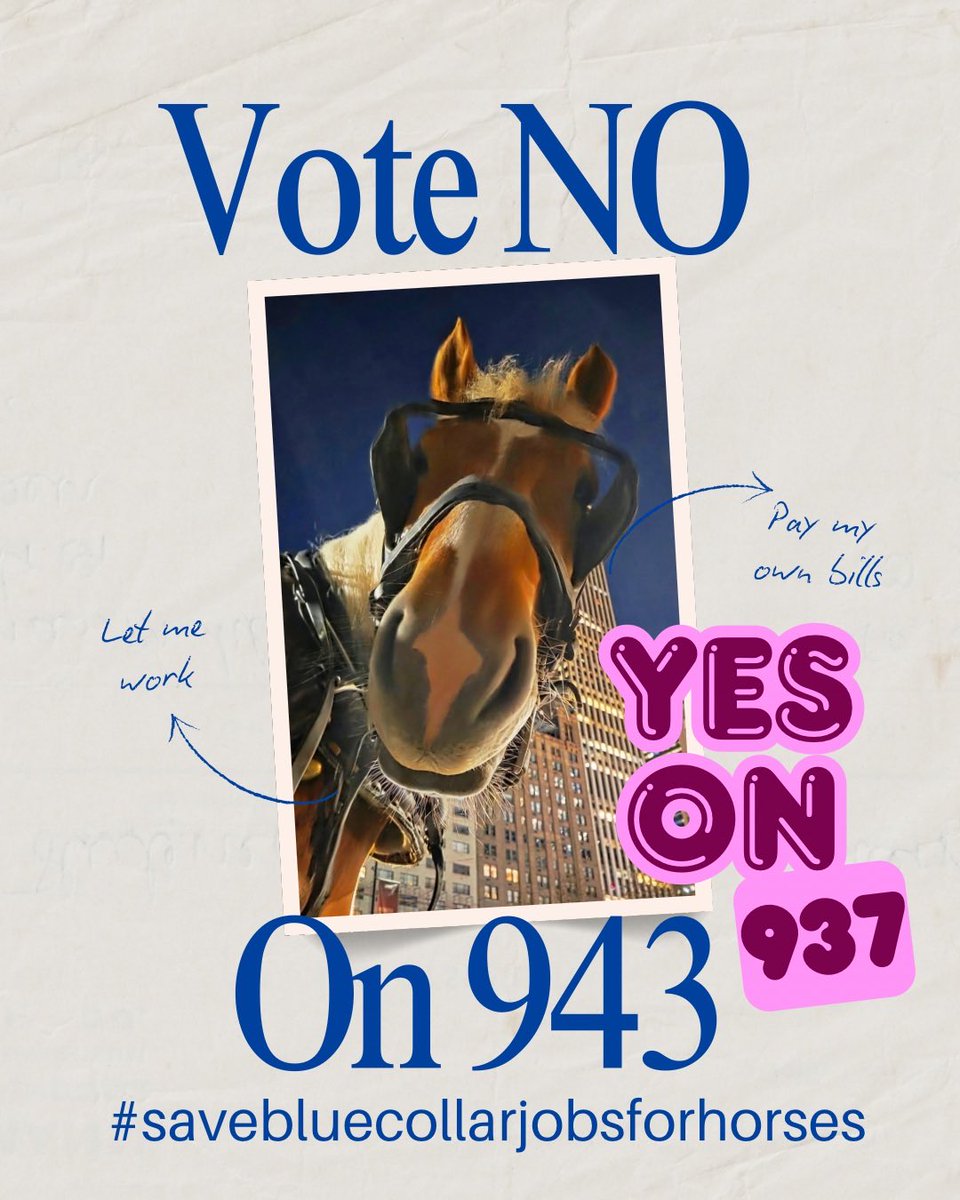 sfhorses's tweet photo. @KensingtonRoyal 

 #savebluecollarjobsforhorses https://t.co/VSfLRT22hD