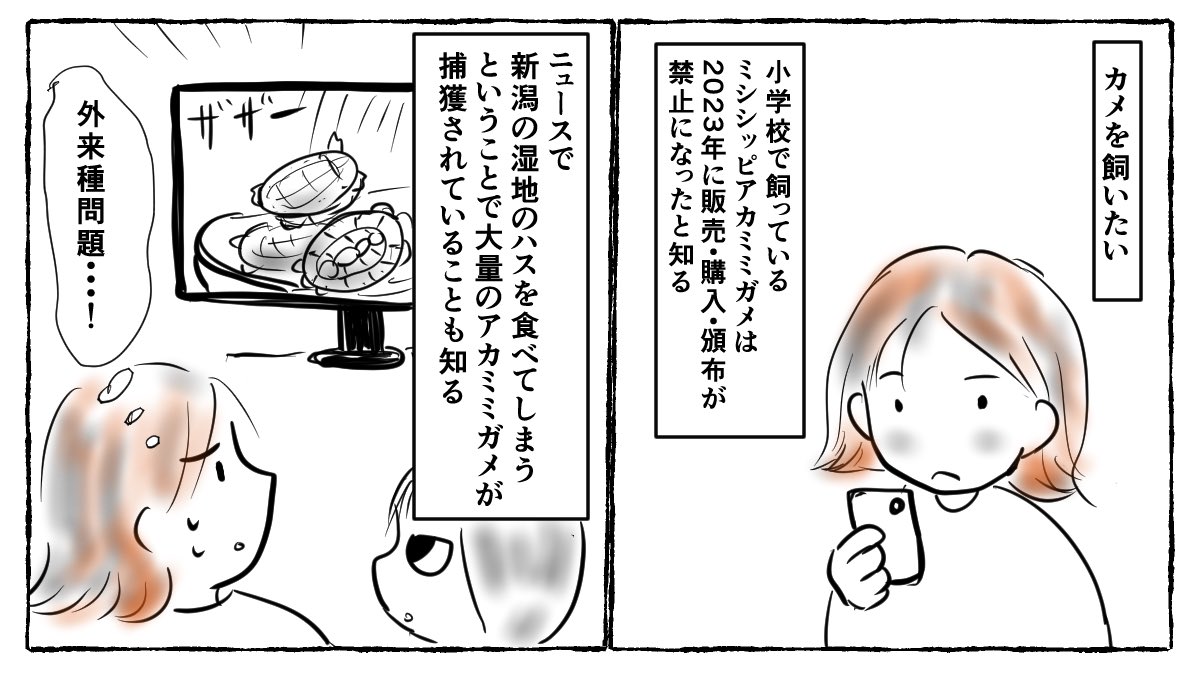 kabeuchi_sachi's tweet photo. 生き物を通して世界の解像度が上がる(もっともらしいことをいう) https://t.co/phcu4ZHSKz