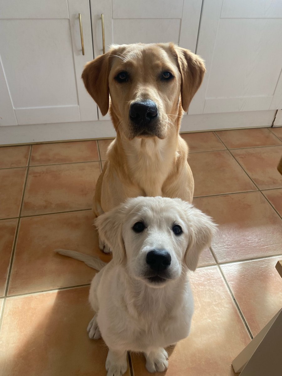 BakerBurdess's tweet photo. @safewordsorg My gorgeous girls https://t.co/Ou6gwZENzd