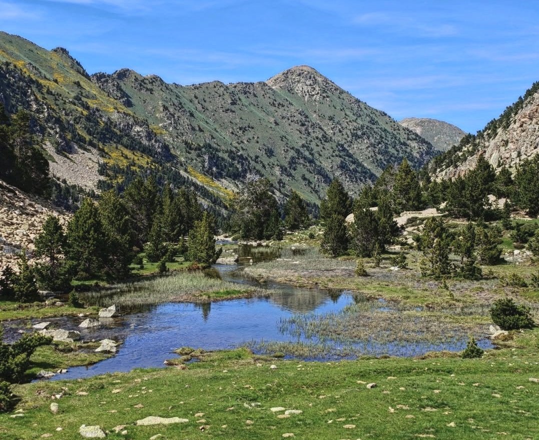 ricardrigall's tweet photo. Carançà. #carançà #fontpedrosa #conflent #pyreneesorientales #pyreneescatalanes https://t.co/n0gANuCtJk