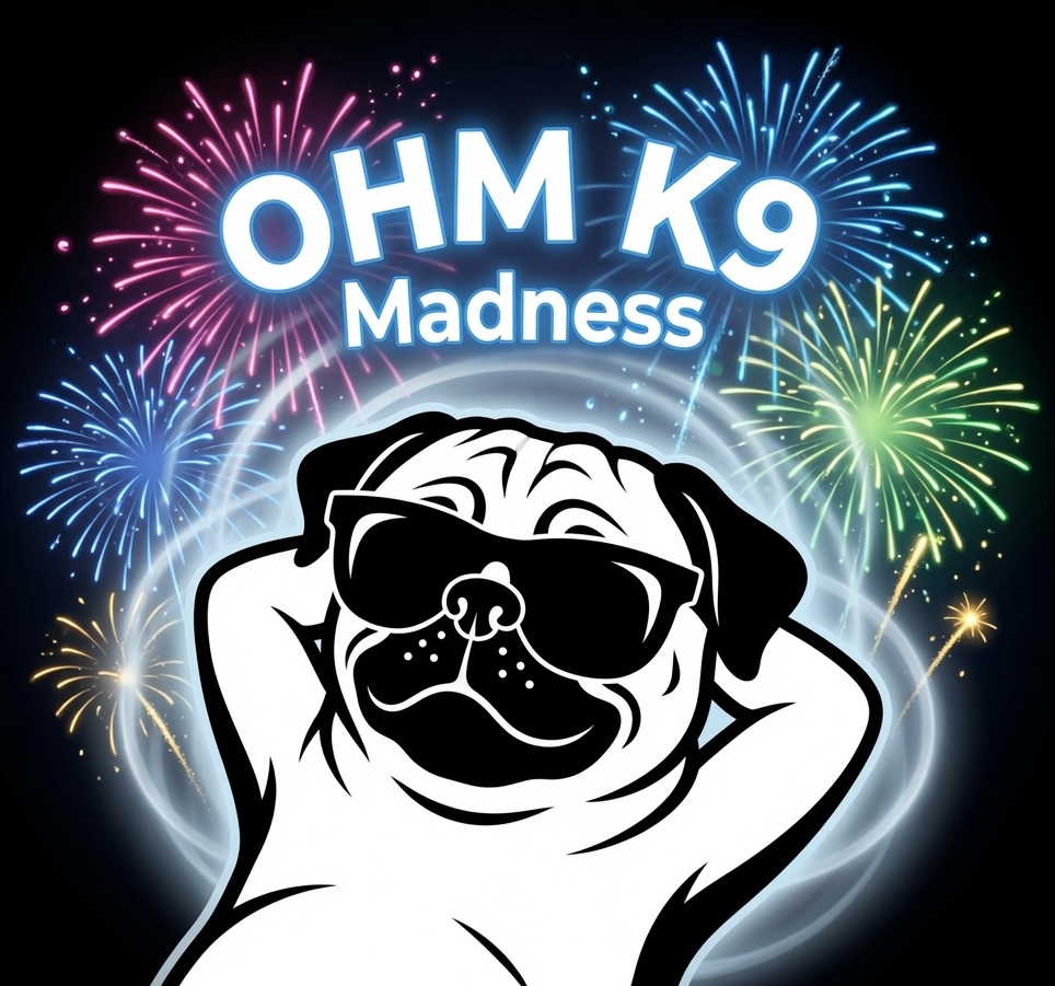ohmstateofmind's tweet photo. No need to experience this on the 4th! OHM K9 Madness!
https://t.co/U7Ud0dYY2n https://t.co/vPCw09vePV