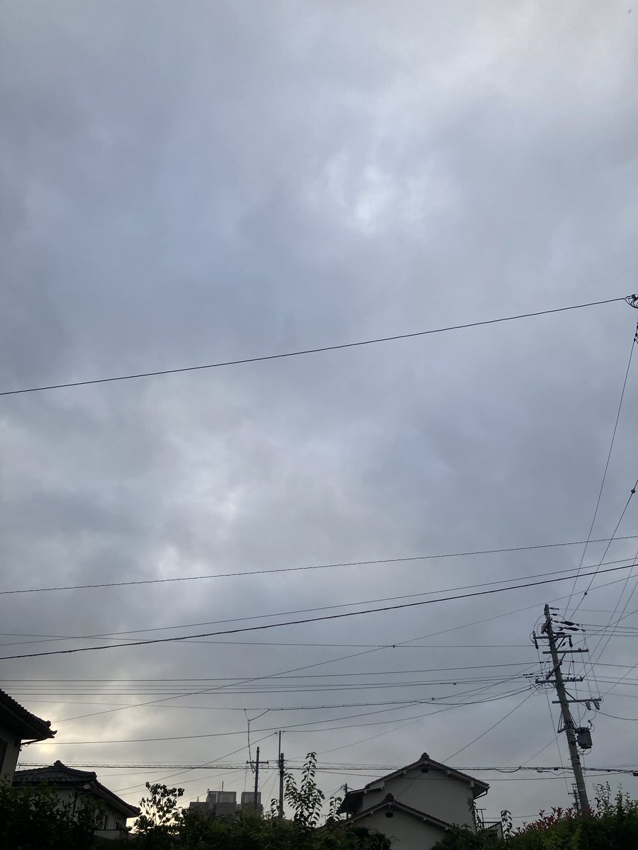 rhythm0268's tweet photo. おはようございます。
雨上がりの朝です。
今日も夕方に雨予報が出ています。
帰宅の時間が重なる人は傘が必要かもしれません。
気温も上がるので熱中症には注意ですね。
皆さまご安全に😊 https://t.co/p8c7nibcaL