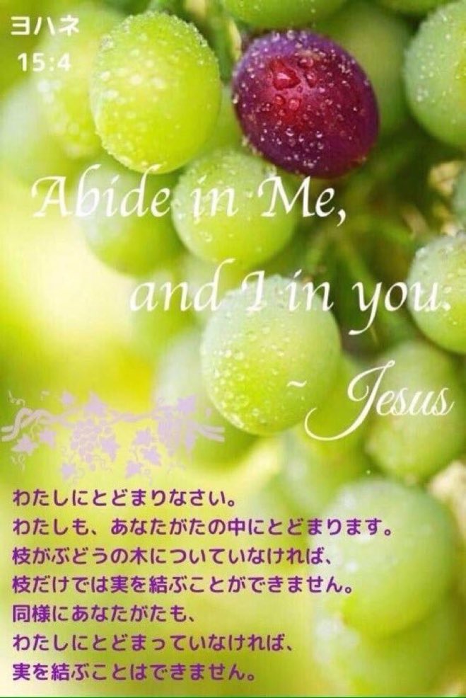Seonny2's tweet photo. わたしにとどまりなさい。
わたしも、あなたがたの中にとどまります。枝がぶどうの木についていなければ、枝だけでは実を結ぶことができません。同様にあなたがたも、わたしにとどまっていなければ、実を結ぶことはできません。 https://t.co/bCJSoIiI2O