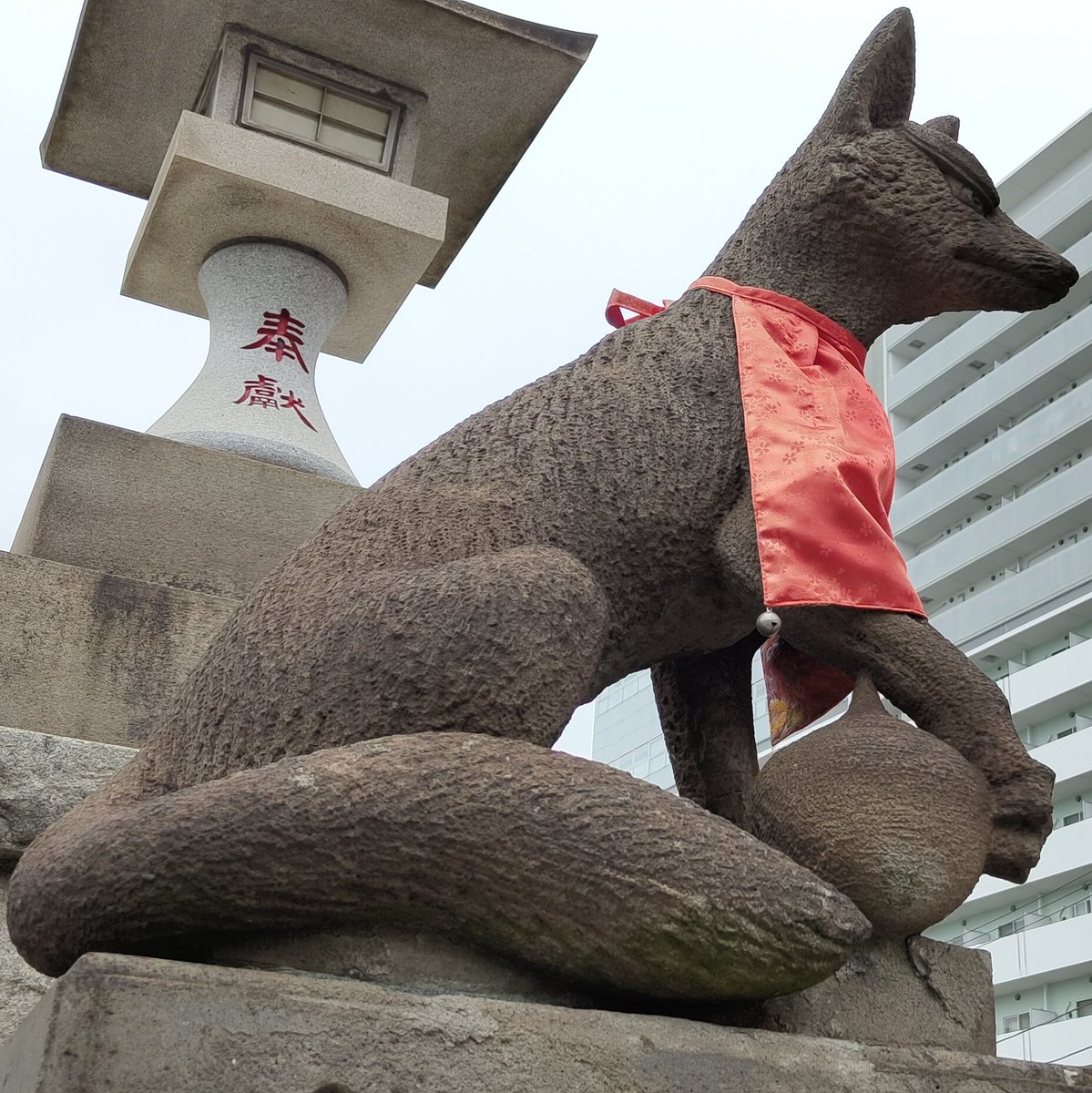 ark25BASALA's tweet photo. 穴守稲荷のお稲荷さん
素敵だったなぁ

じゃれつく子狐も凛々しい親狐たちも
鳥居前や階段の上もほこら前の子も
感動した

また寄れたら遊びに行こうかな https://t.co/ioPn9KmyIP