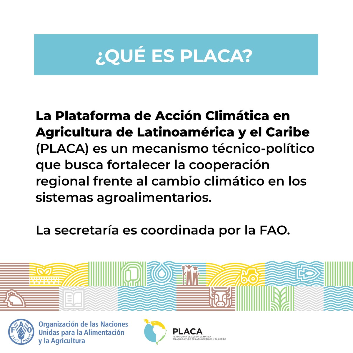 FAOMexico's tweet photo. 🌎 En los próximos días se realizará la Asamblea Anual de #PLACA2026
Representantes de 19 países de América Latina y el Caribe se reunirán para definir prioridades comunes y fortalecer la cooperación regional frente al cambio climático

Conoce más de PLACA https://t.co/tmQ4Lr8Fa3 https://t.co/QlN7zNnEzl