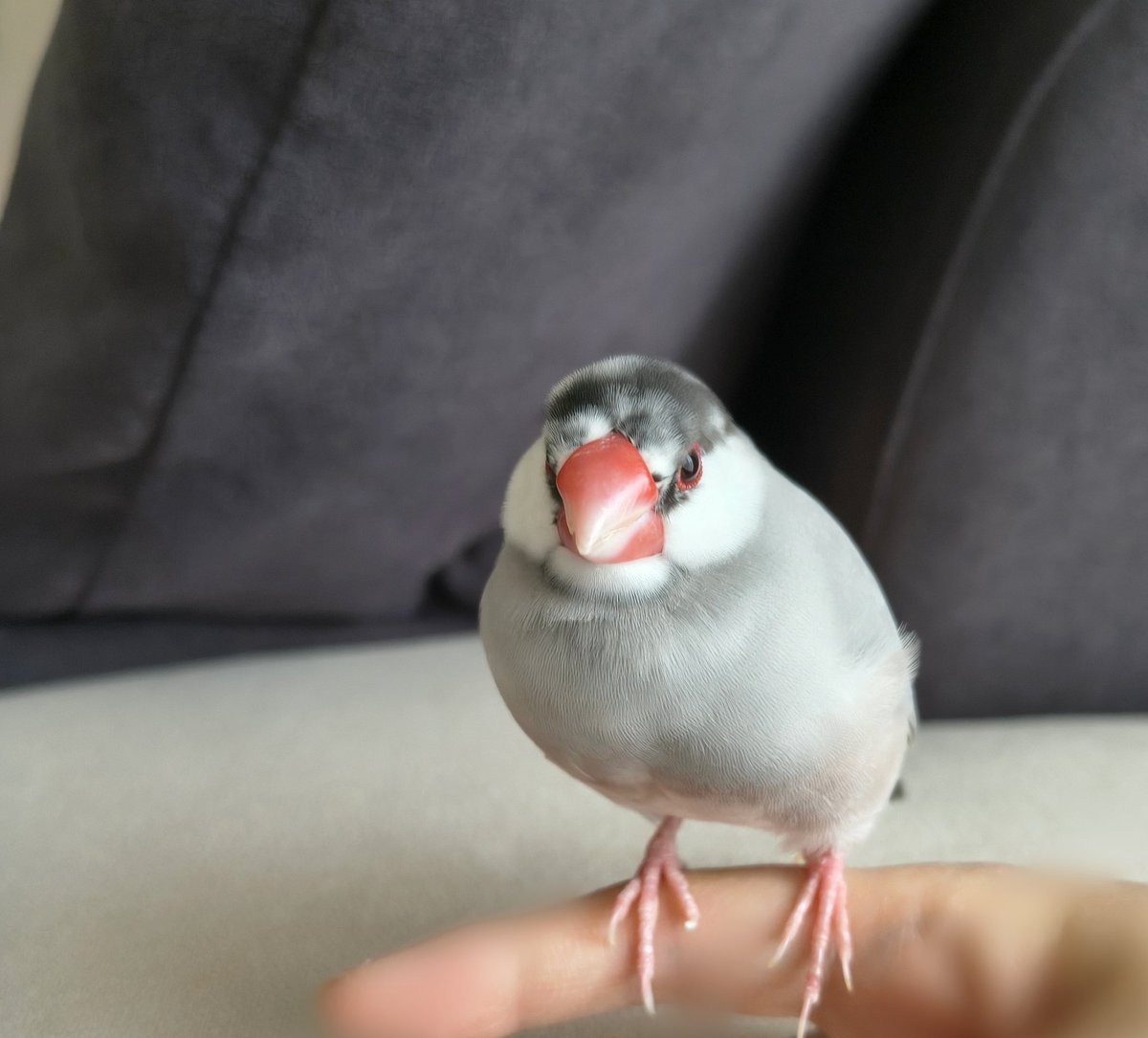 体幹にやや歪みあり