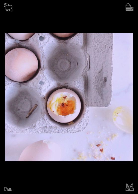 yknkoo16's tweet photo. Cheese Sandwich: A satisfying sandwich. Passion fruit honey toast offers a layered aroma, where intense fruitiness blends with sweet honey to infuse simple toast with a rich summer flavor. https://t.co/8w5y7MJa2Q