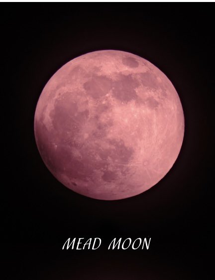nektarjp's tweet photo. 【ミード・ムーン】蜜月🍯🐝
6月の赤い満月🌕MEAD MOON🌕
本日6/30の満月はミードムーンと呼ぶ。

月が赤みを帯びるため、ストロベリームーンとも呼ばれ、ミードムーン（ハニームーン）は、古いヨーロッパでの名称。
蜂蜜酒が由来で、「この時期に蜂蜜の収穫準備が完了するから」など諸説があるようだ。

古代ケルトや北欧の古い習慣で、新婚夫婦が子宝を願って新婦が1ヶ月間「ミード」を仕込み、夫婦で飲むという伝統から、これが「ハネムーン＝ハニームーン（蜜月）」の語源になったとも言われています💐

そして、『満月はよく発酵する』🌝
古い造りのワイナリーではタンクから溢れるなんて聞きますね。
満月はゾワゾワ・・・酵母もソワソワ・・・🫧
いつか満月に仕込みたいと思っていたので、今宵は島根の神魂(かもす)神社でとれた蜂蜜でミードを醸すとしよう🫧🫧