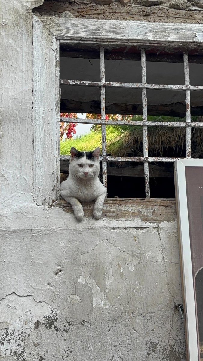 Sennaaa000's tweet photo. Haziran şu şekil geçti https://t.co/ryYk2EKZPz