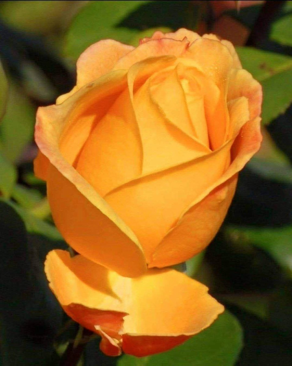 jayakum22260304 tweet picture