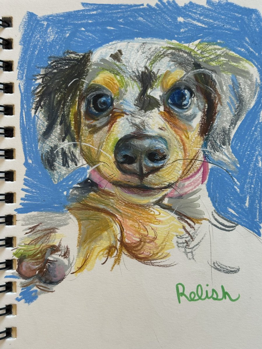 Wickedcryptid69's tweet photo. Sketchbook https://t.co/y2riTAGetj