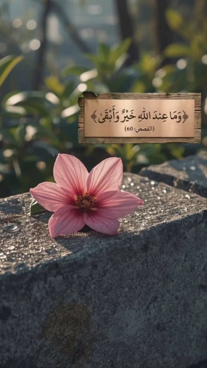 BAlkhuzaim's tweet photo. https://t.co/JcXd7wW0Ux