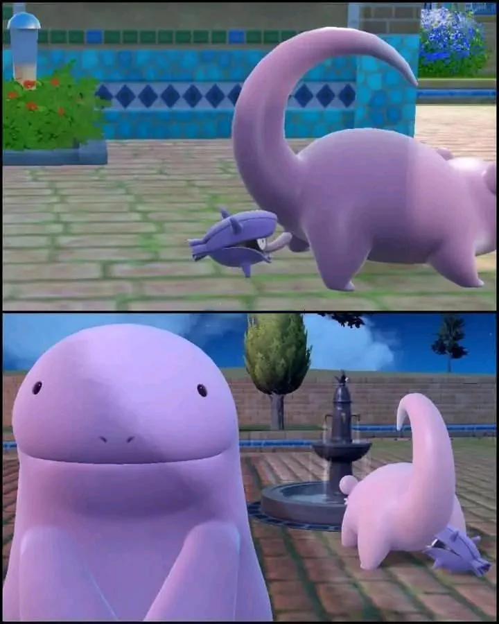Pokémon Daily Post💫 tweet media