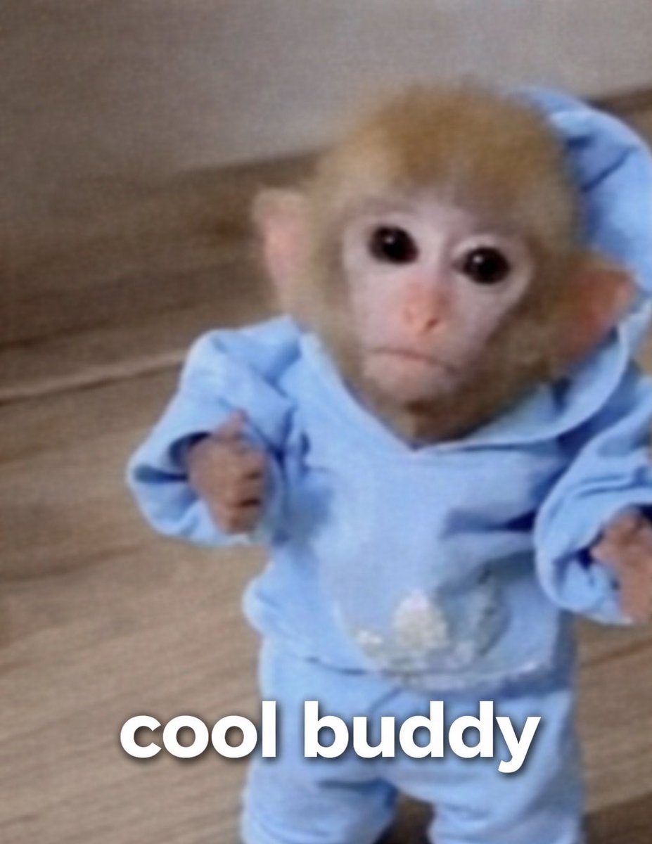 Monkeflips's tweet photo. @ChillHouseSOL gmonke https://t.co/DUNwC0WTMI