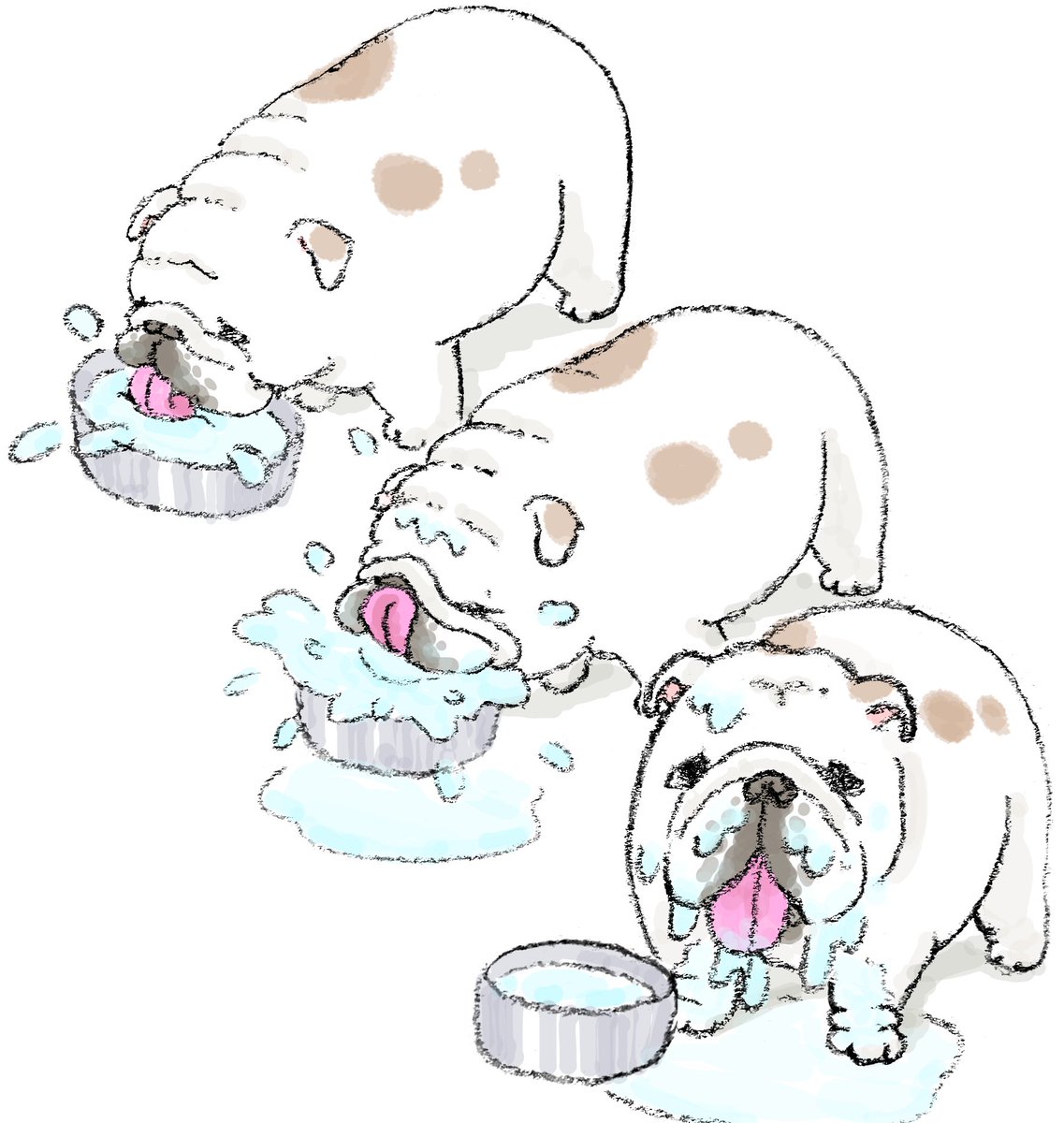 89no87chan's tweet photo. 水飲むとびちょびちょ💦
鼻ぺちゃ犬グッズ👉 https://t.co/tiDuX1zr9L鼻ぺちゃ犬LINEスタンプ👉 https://t.co/RAnydaJl3n https://t.co/xqoHoxhMI1