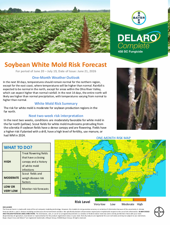 Channel_SD's tweet photo. Protect your SB yield from disease! @BayerCropProUS @ChannelSeed https://t.co/BgqUgBDV9K