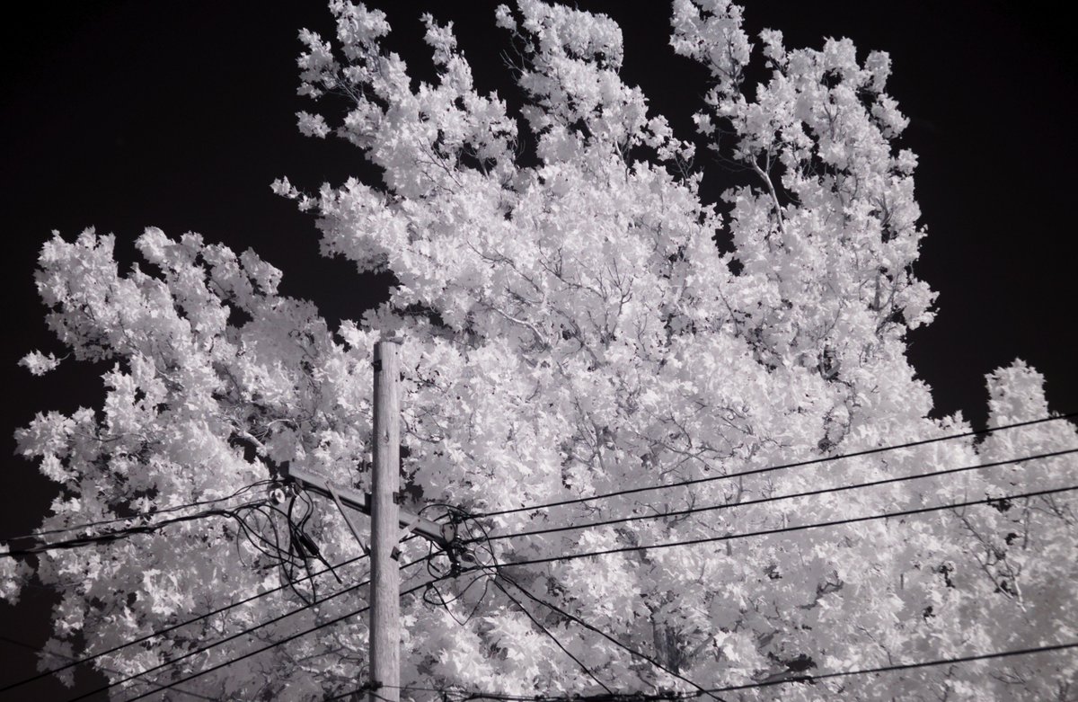 Fuji tweet media