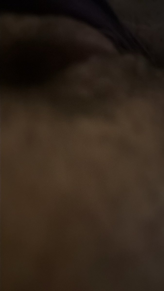 nickepapichulo's tweet photo. Can we guess what it is? https://t.co/5bN8xVUkts