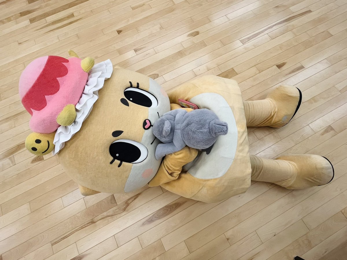 公式：ちぃたん☆九州 (@Kyushu_Chiitan) / Posts / X