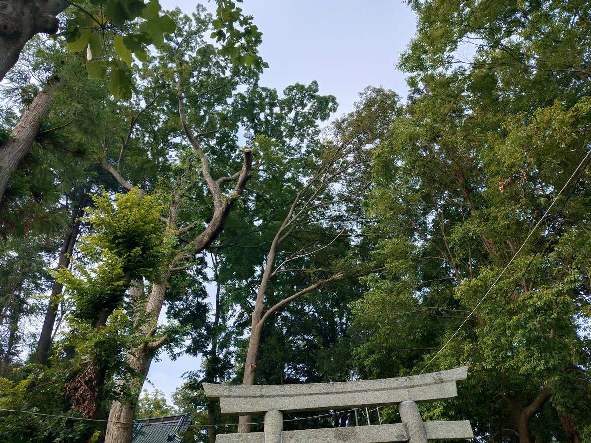 boss510808's tweet photo. 6/30 東八幡神社 弁天社参拝
久々に参拝しました。
爽やかな風でお迎え下さいました。

ここに伺う時はデートのような気分になります。
この感覚は、分かってもらえないでしょうね〜(^_-)-☆
#因果は巡る
#お天道様は見ている https://t.co/3zSTq2DXjw