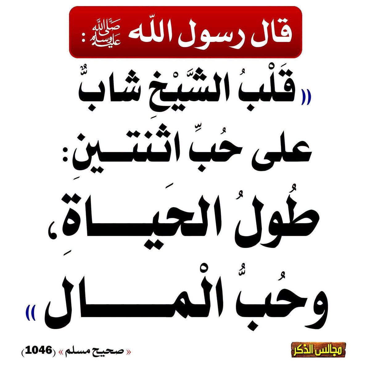 m_7d_7's tweet photo. 🪧⏬⤵️⤵️ https://t.co/B4RzXjQNWf