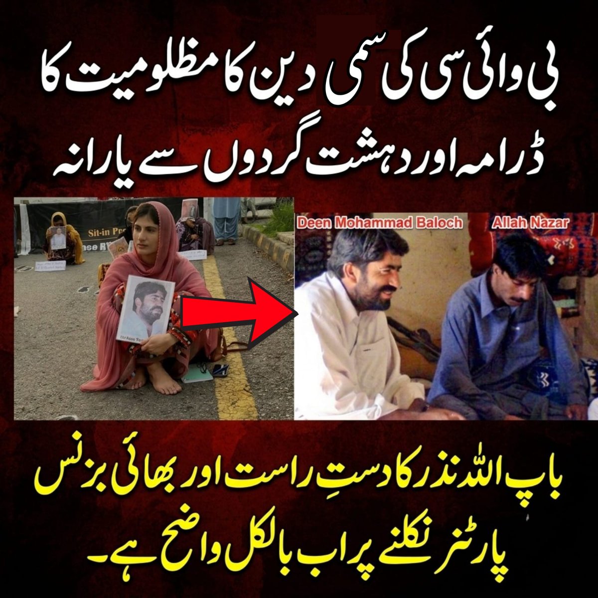 Abbasbugti52's tweet photo. *"مظلوم 'لاپتہ' یا بی ایل ایف کا سہولت کار؟ سمیع دین کا سچ*
▪️ایک طرف سمیع دین پچھلے 17 سال سے اپنے والد دین محمد کو 'مظلوم لاپتہ' بنا کر ریاستی اداروں پر کیچڑ اچھالتی ہے، دوسری طرف بی ایل ایف کا سرغنہ اللہ نذر خود اعتراف کرتا ہے کہ دین محمد اس کا خاندانی یار اور دستِ راست تھا۔ سوال یہ ہے کہ ایک مبینہ 'لاپتہ شہری' بی ایل ایف کے سب سے سفاک اور درندے شخص اللہ نذر کے کیمپ میں بیٹھ کر کس چیز کی سہولت کاری کر رہا تھا؟ ایک دہشت گرد کے سہولت کار کے لیے ریاست سے جنگ کیوں؟ سمیع دین اللہ نذر اور بی ایل ایف کے ساتھ اپنے اس خونی کنکشن کو دنیا سے کیوں چھپا رہی ہے؟ بی ایل ایف کے ساتھ ان گہرے لنکس پر مٹی کیوں ڈالی جا رہی ہے اور سمیع دین ان تصویروں کو دیکھ کر بھی اگنور کیوں کر رہی ہے؟
▪️مظلومیت کا ڈرامہ اس وقت مزید سامنے آتا ہے جب سمیع دین کا بھائی عمان میں اسی قاتل اللہ نذر کے بیٹے کے ساتھ بزنس پارٹنر نکلتا ہے۔ یہ ناقابلِ تردید پرانی تصویریں کسی دورِ جدید کی اے آئی (AI) کی کارستانی نہیں، بلکہ بی ایل ایف اور اس خاندان کے خونی گٹھ جوڑ کی زندہ حقیقت ہیں۔ بی وائی سی کا یہی اصل پیٹرن ہے: باپ دہشت گردوں کا ساجھے دار، بھائی نیٹ ورک کا فنانسر، اور بیٹی معصوم بن کر 'مسنگ پرسن' کے نام پر ملک دشمنی کا کاروبار چمکانے میں مصروف
