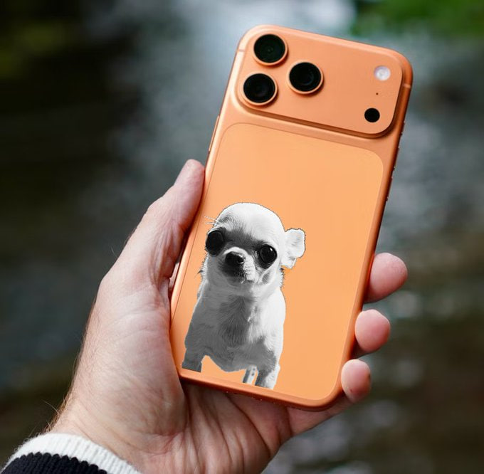 monobrow86's tweet photo. @ALWAYSYEET @Clive_99 new iphone looks good https://t.co/DvLyHTniZ9