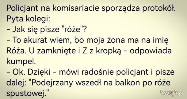 Kerwinioo's tweet photo. Suche i stare, ale musiałem wam to pokazać XD https://t.co/59AVqhamnU