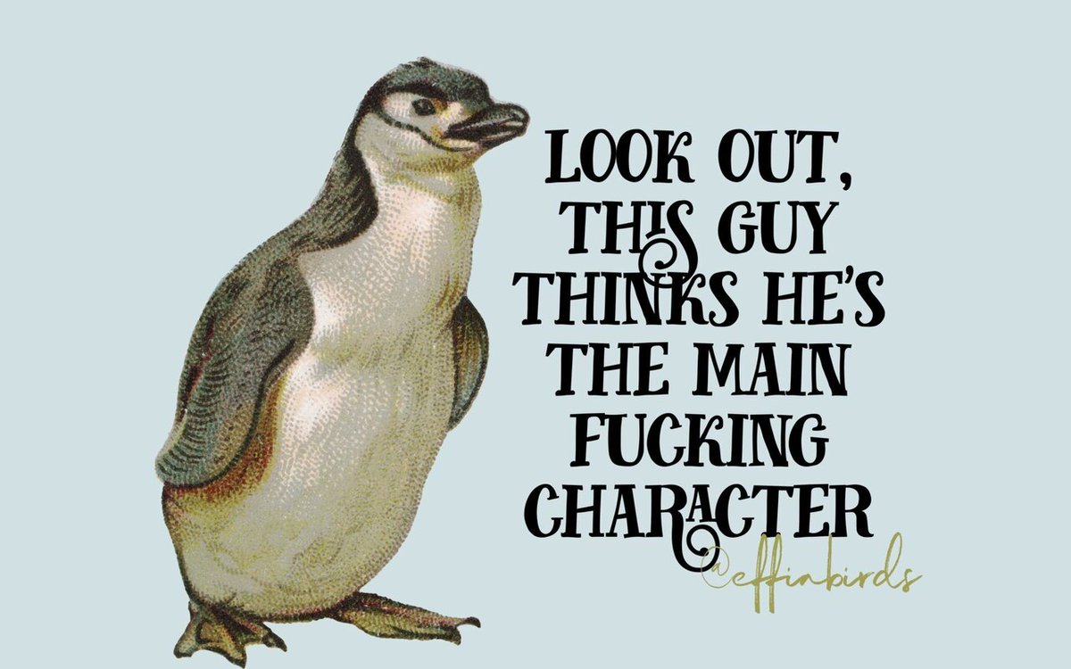 EffinBirds's tweet photo. https://t.co/hIFCJD0S6B