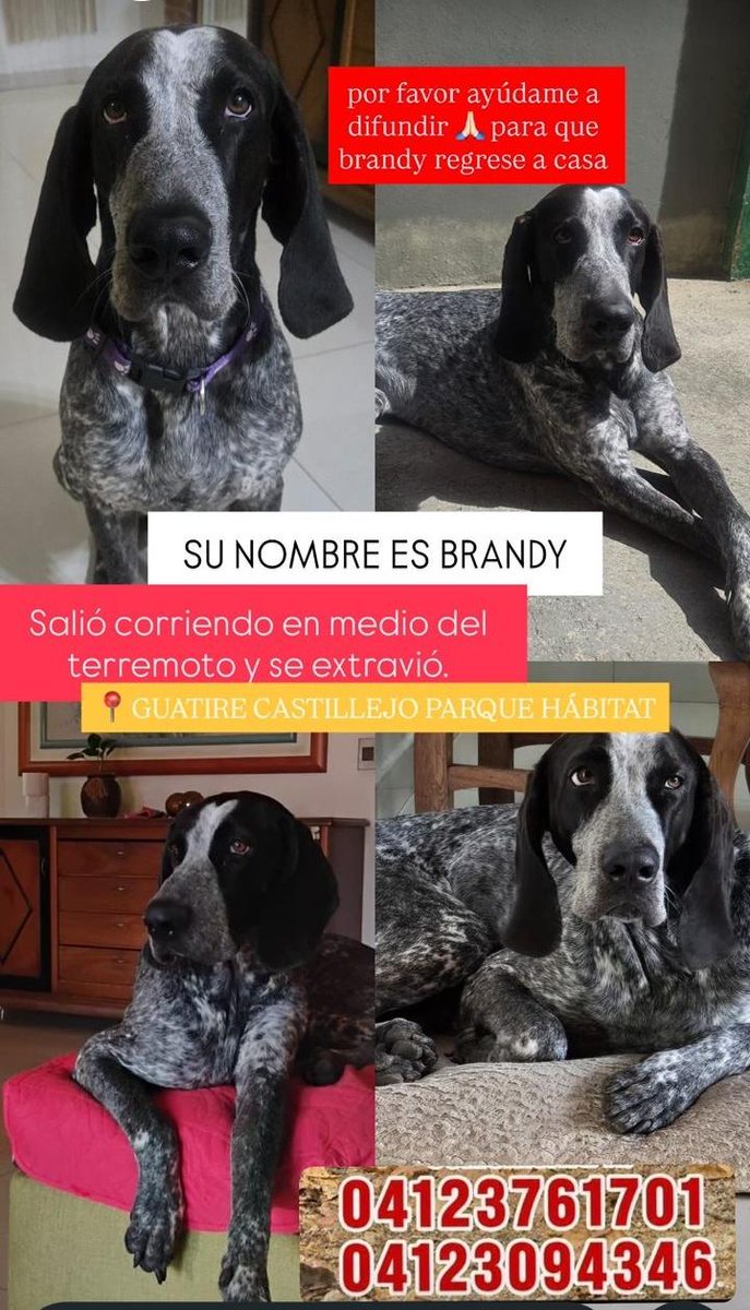 yaracalcagno's tweet photo. Atención Guatire. Se busca. https://t.co/AasR2FFoCv