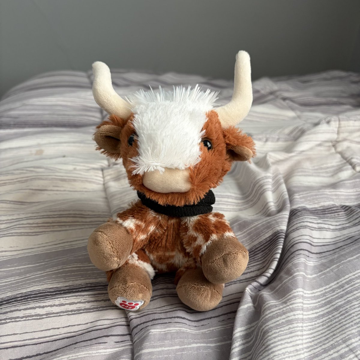 Kanmuriz's tweet photo. Meet my mini Longhorn cow named Pumpkin!
#BuildABear #NewBear #LonghornCow https://t.co/OhilBGe5Td