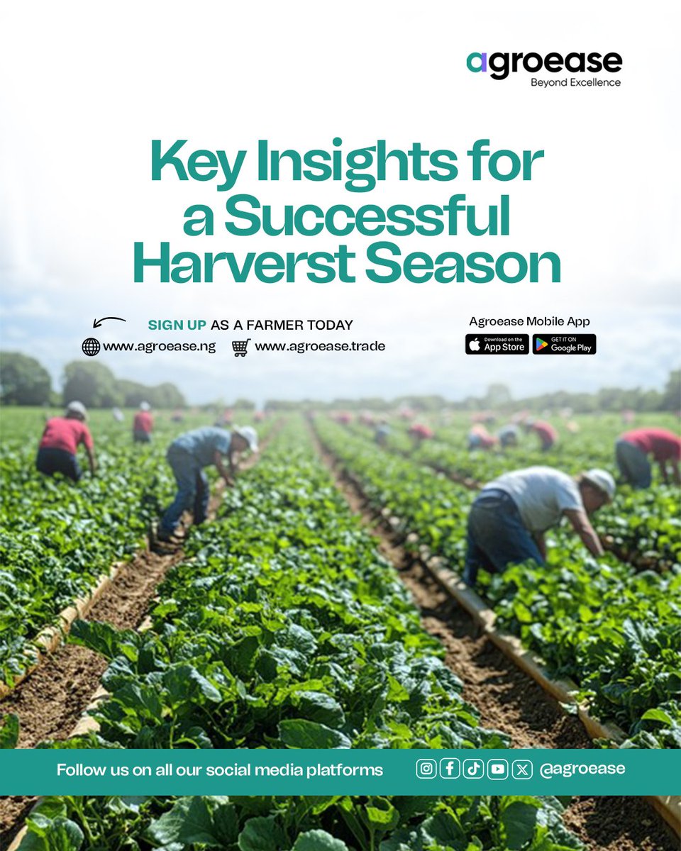 agroease's tweet photo. As June 2026 comes to an end, we reaffirm that consistent learning and adaptation are the keys to long-term farming success. 🌱 https://t.co/euWVKylrBp