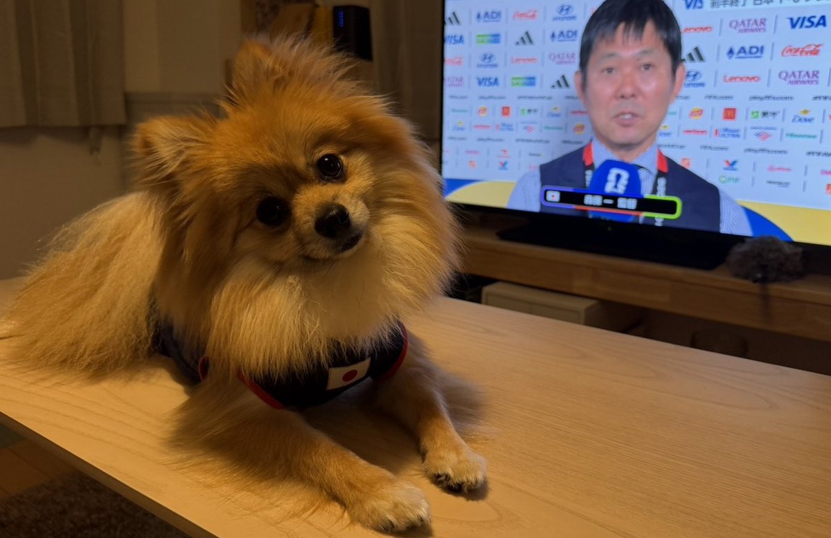 SurfBarbie_'s tweet photo. @jfa_samuraiblue @FIFAWorldCup 後半も頑張れ日本🇯🇵！！勝つ！！勝つ！！ https://t.co/yoaqVskiFF
