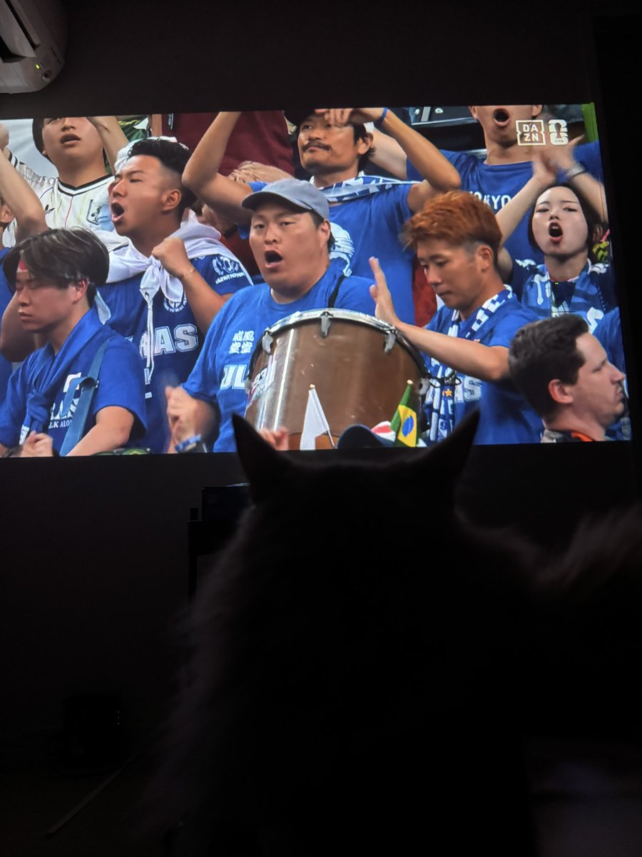 dgs_lover's tweet photo. ねこも見てます https://t.co/A67keyntLv
