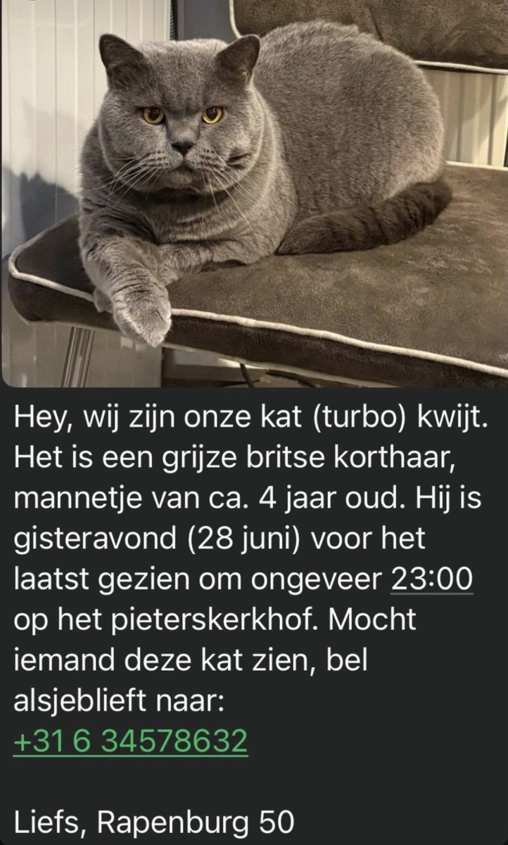 diederikdegroot's tweet photo. Volgers uit Leiden en omgeving! Willen jullie opletten of jullie deze lieve kat (van mijn oude studentenhuis) ergens zien? Ik hoop heel erg dat hij snel weer boven water komt. 

Delen als je veel volgers uit de Leidse regio hebt, mag natuurlijk ook https://t.co/Ui5URPVr20