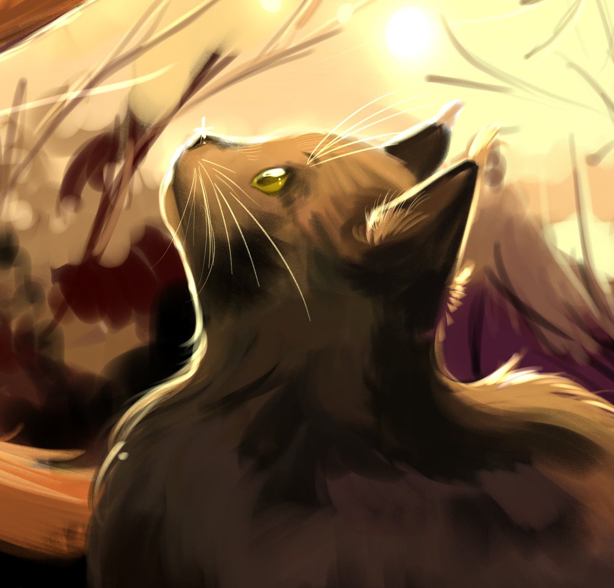 sunflw1r's tweet photo. warrior cats ok
#warriorcats #art #cat #funart https://t.co/4dmDh3AmO6