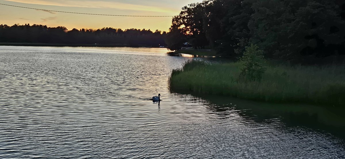 pirjo_ha's tweet photo. Enjoying midnight sun at Seurasaari in Helsinki #Helsinki #Seurasaari #Midsummer #juhannus https://t.co/iz25UzJ6GA