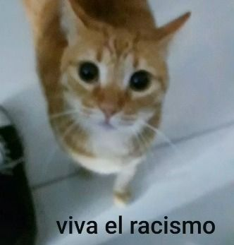 Evdle3's tweet photo. @OmegaUSB64 @Stfbds @Ivanzaaa2 amor a todos <3 https://t.co/ZjkVAKbOh9