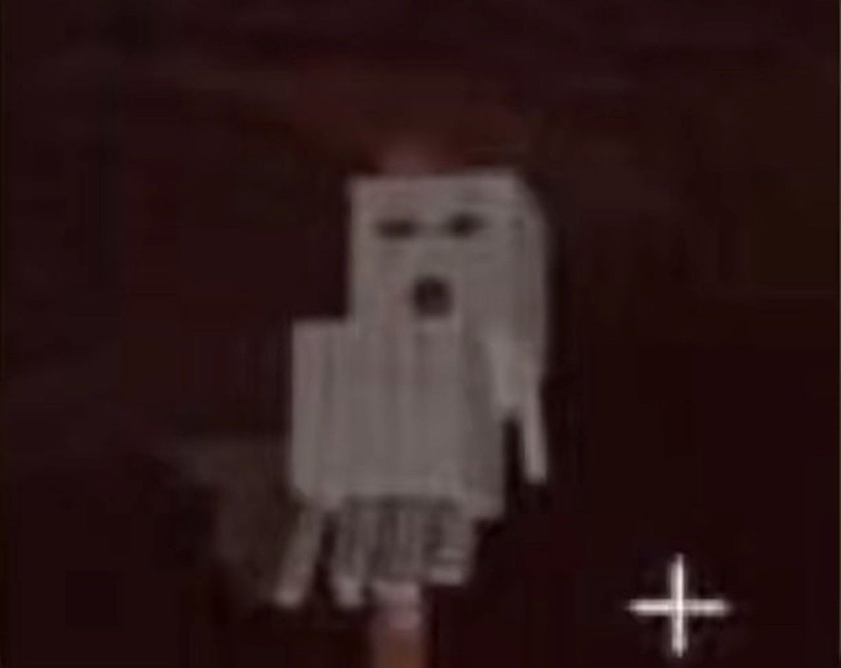MeincraftSteve's tweet photo. WHAT THE HELL https://t.co/DDMU0mUtck