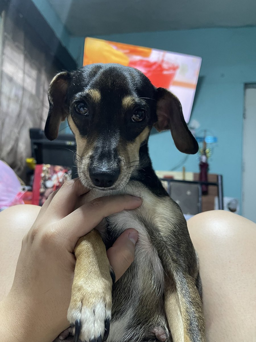 andysmind_'s tweet photo. mi vida hermosa, amor de mi vida, mis ojitos de tapioca, te amo mi amor, eres mi todo https://t.co/vq2U87aMz7