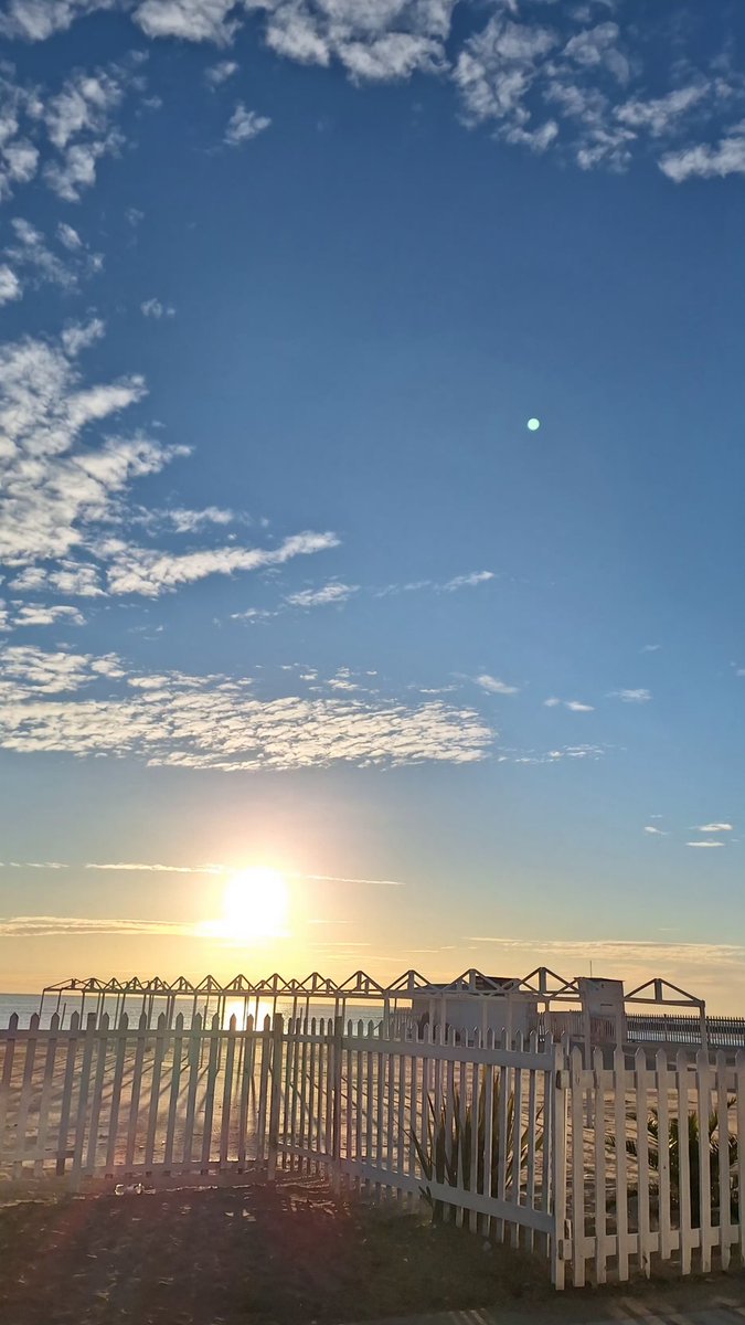 SofCastorina's tweet photo. imaginate amanecer ASÍ DE LINDA😍 https://t.co/VoZyXmGxa7