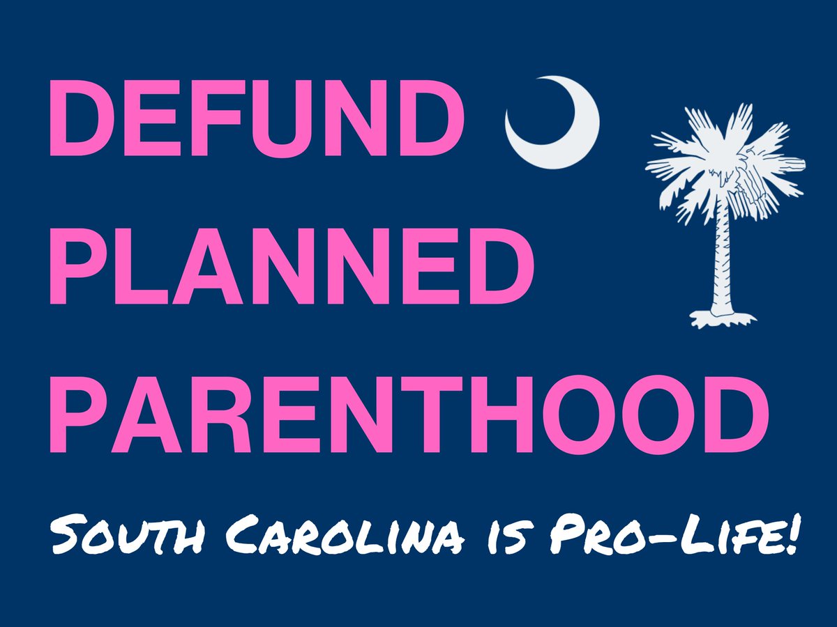 ChooseLifeGVL's tweet photo. Pro-Life Greenville joins our friends @LiveAction in calling upon Congress to take immediate action before July 4th, America’s 250th Birthday, to fully defund Planned Parenthood in the federal budget. Send a message to your members of Congress by visiting https://t.co/2i7HcOk6xk. https://t.co/8hNdXr51iY