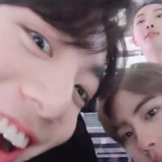 koogifs's tweet photo. peek-a-koo https://t.co/bhn7M8RTwL