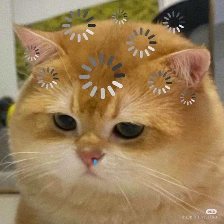 celesthinee's tweet photo. Me stelah membantai skripsi 12 jam lebih... https://t.co/YpKQvv5Ocd